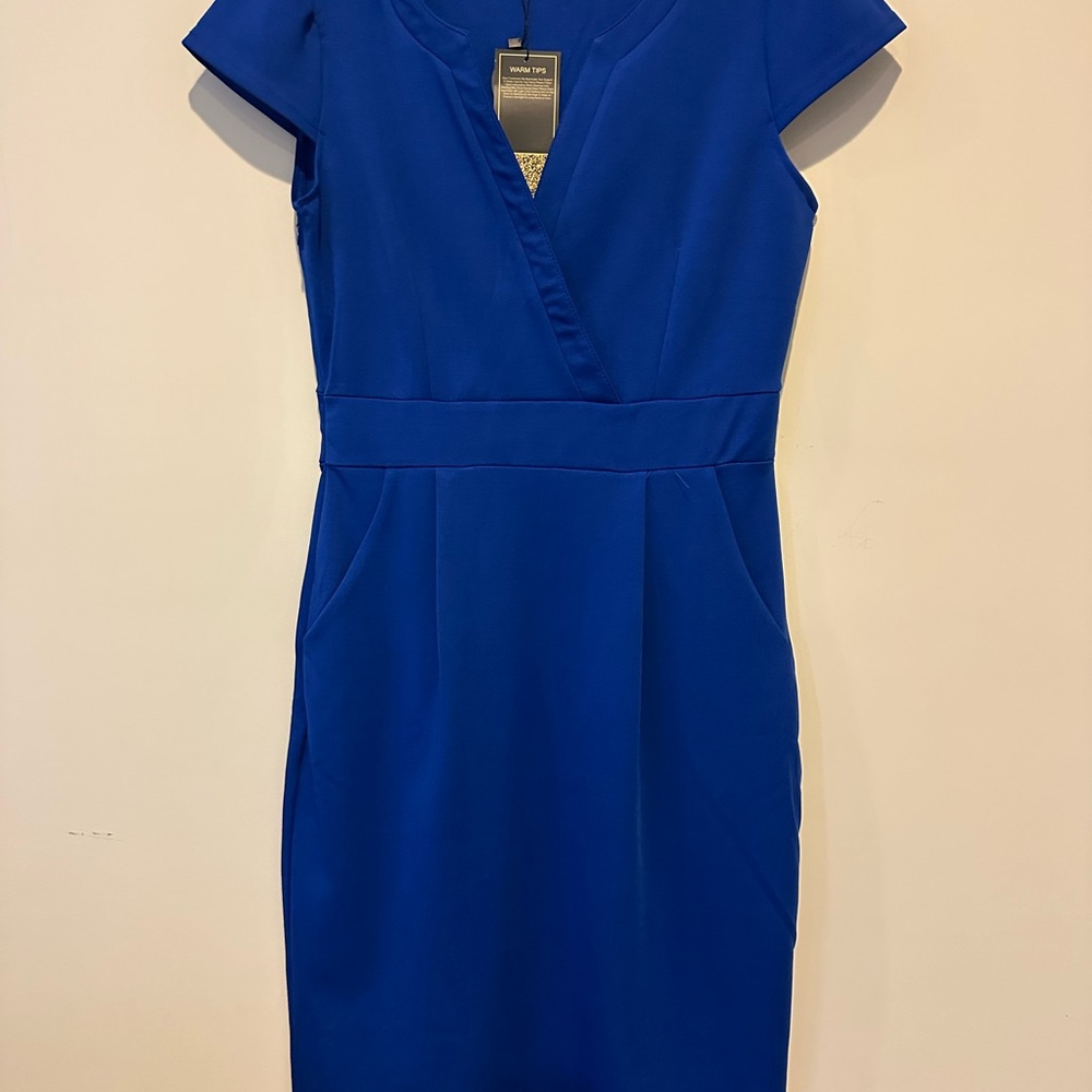 Elegant Blue Women's Dress
